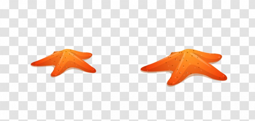 Starfish - Orange Transparent PNG