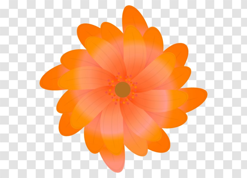 Dahlia Orange S.A. - Flower Transparent PNG