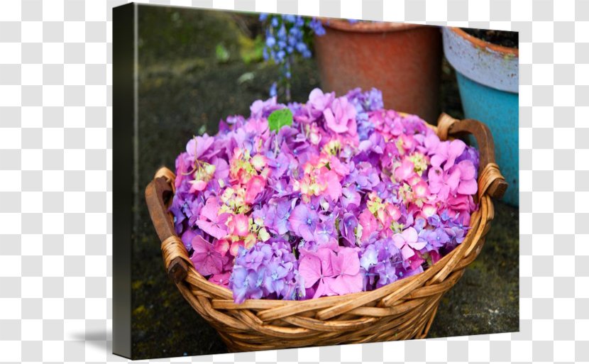 Hydrangea Cut Flowers Sales Floral Design - Flower Transparent PNG