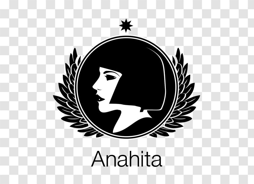 Social Networking Service SocialEngine Video Anahita 2 Shopping Center User - Silhouette - Network Platforms Transparent PNG