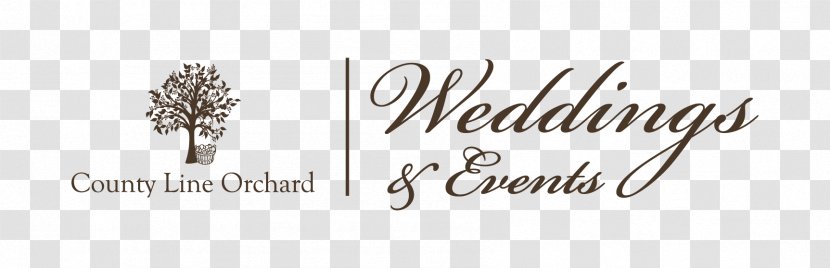 Logo My Wedding With Truth Desktop Wallpaper Brand Font - White - Book Transparent PNG
