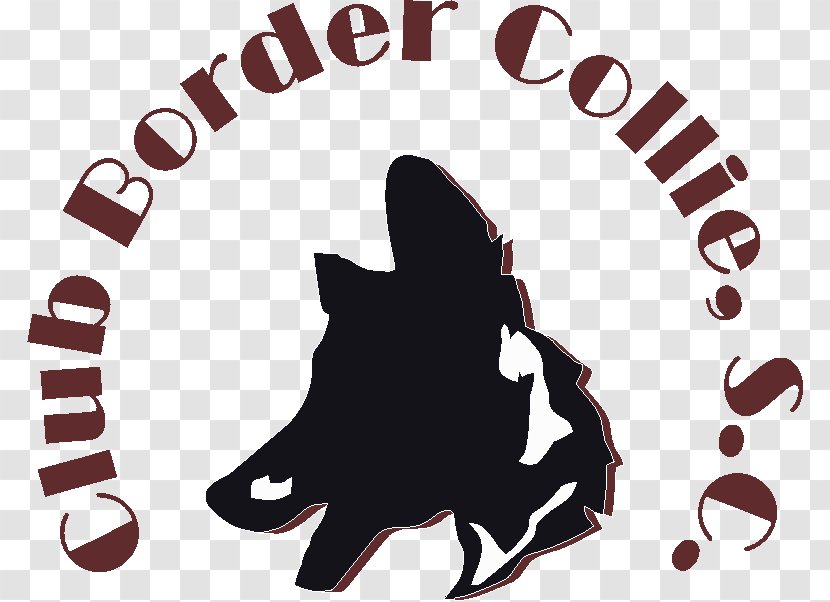Border Collie Rough Canidae Association Transparent PNG