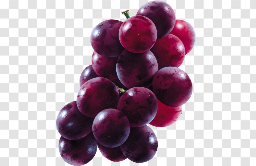 Common Grape Vine Juice Concord Clip Art - Superfood Transparent PNG