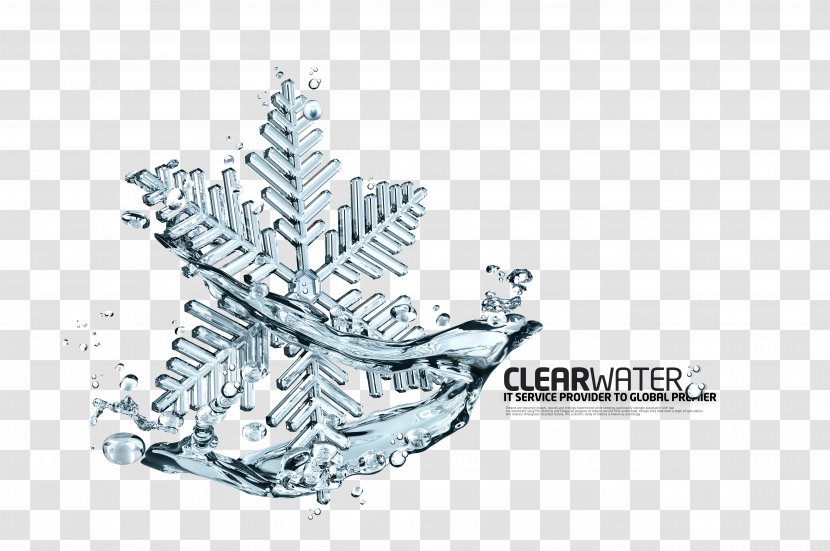 Snowflake Ice - Layers - Psd Spray Transparent PNG