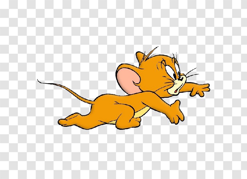 Jerry Mouse Tom Cat And Clip Art - Small To Medium Sized Cats Transparent PNG