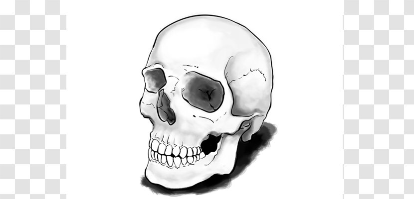 Drawing Skull Calavera Tutorial Art Transparent PNG