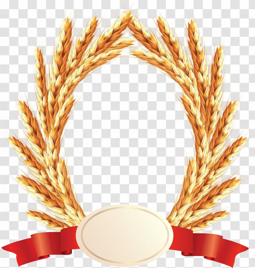 Wheat Ear Euclidean Vector Illustration - Photography Transparent PNG