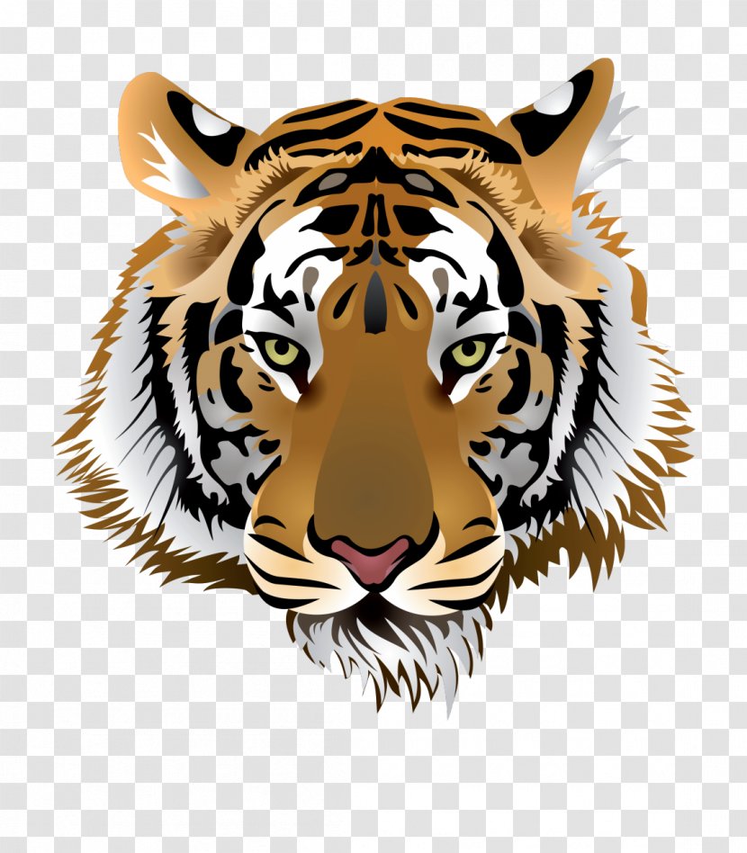 Tiger Clip Art - Mammal - TIGER VECTOR Transparent PNG