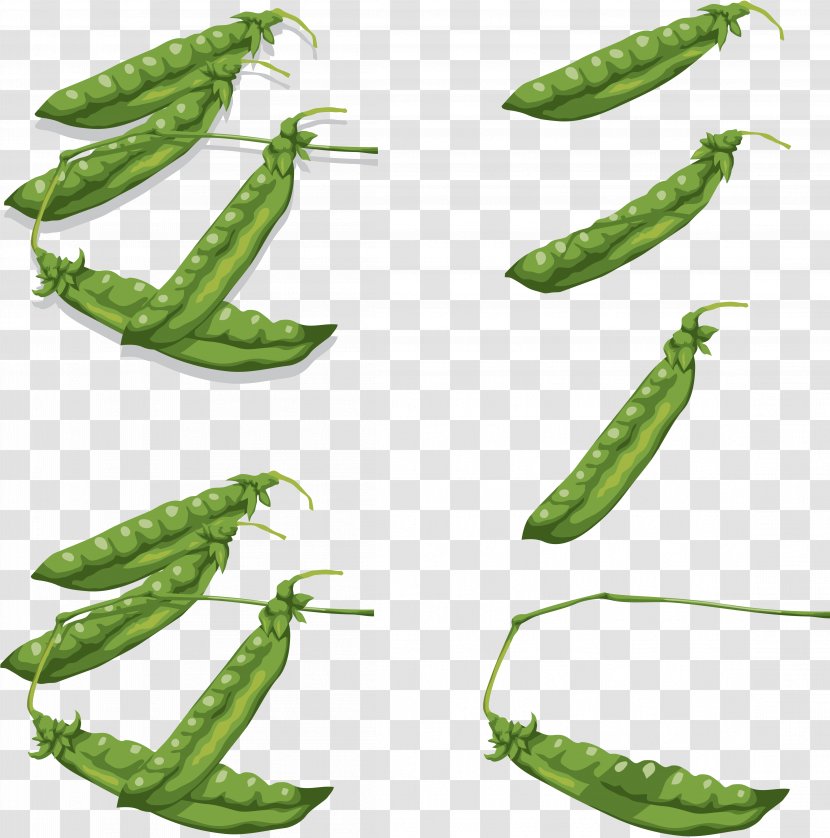 Pea Icon Clip Art - Produce Transparent PNG