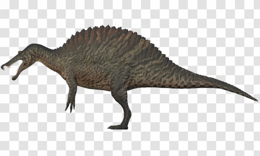Tyrannosaurus Spinosaurus Baryonyx Giganotosaurus Utahraptor - Dinosaur Transparent PNG