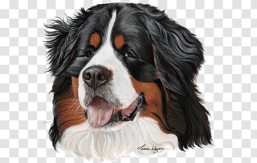 Cavalier King Charles Spaniel Bernese Mountain Dog Greater Swiss Entlebucher Breed - Good-looking Transparent PNG