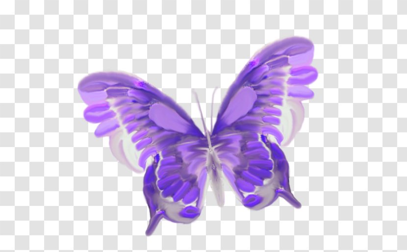 Butterfly Insect Greta Oto Clip Art - Blue Transparent PNG