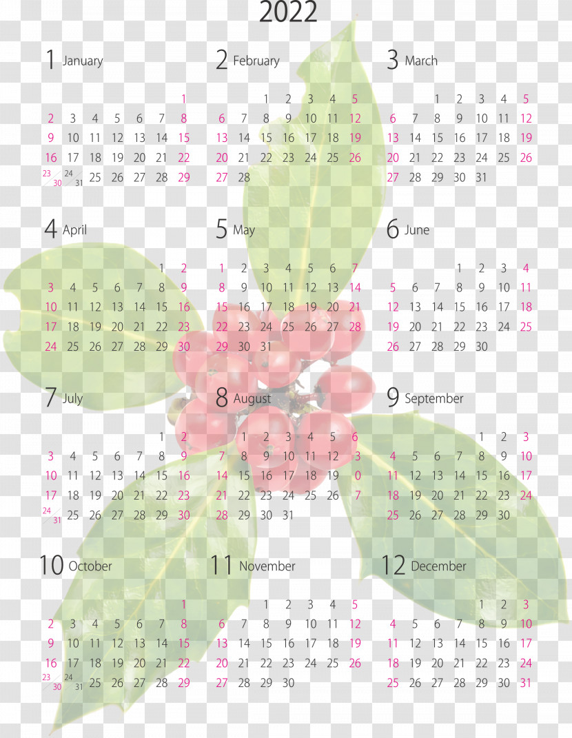 2022 Yearly Calendar Printable 2022 Yearly Calendar Transparent PNG