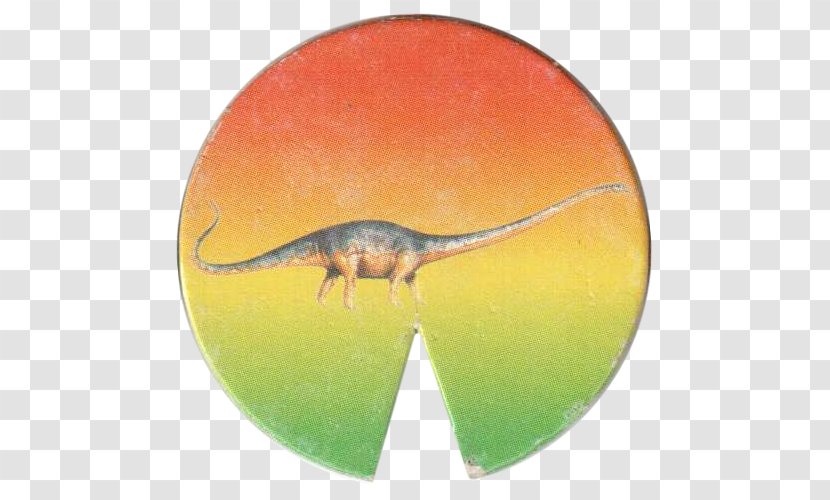 Reptile Terrestrial Animal - Organism - Diplodocus Transparent PNG