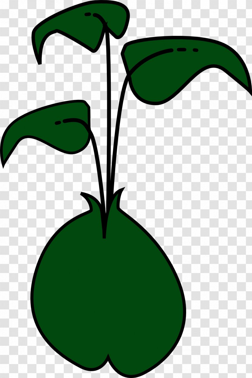 Sprouting Green Bean Clip Art - Royaltyfree - Plant Transparent PNG