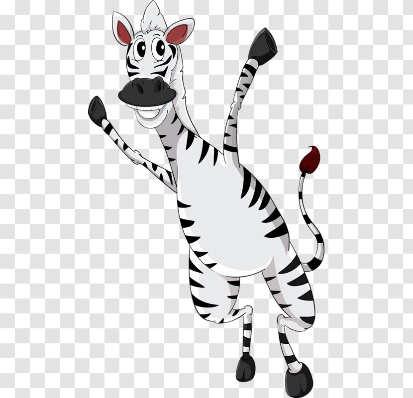 Zebra Photography - Stock Transparent PNG