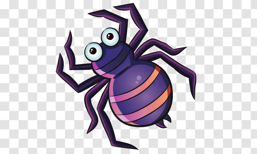 Spider Cartoon - Insect Transparent PNG