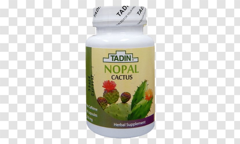 Herbal Tea El Nopal Aloe Vera - Dietary Supplement Transparent PNG