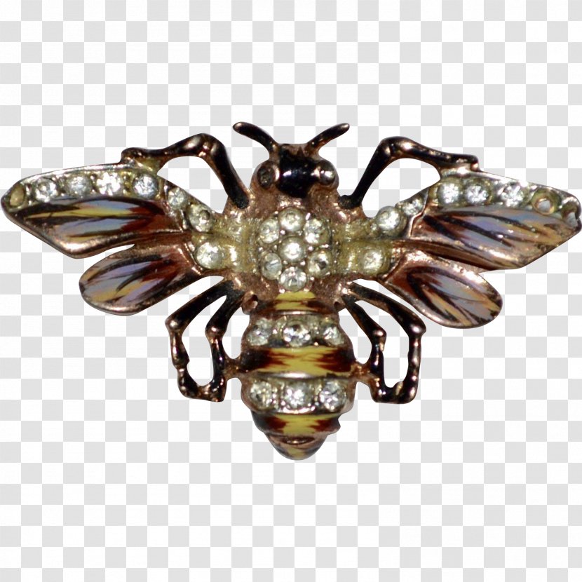 Insect Brooch Transparent PNG