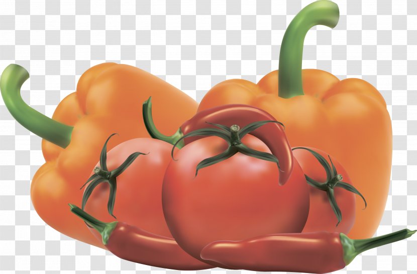 Bell Pepper Vegetable Food Tomato Transparent PNG