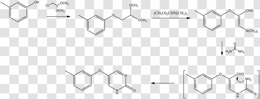 Rutin Halogenation Flavonoid Chemical Reaction Electrophilic Substitution - Alkene - Synthesis Transparent PNG