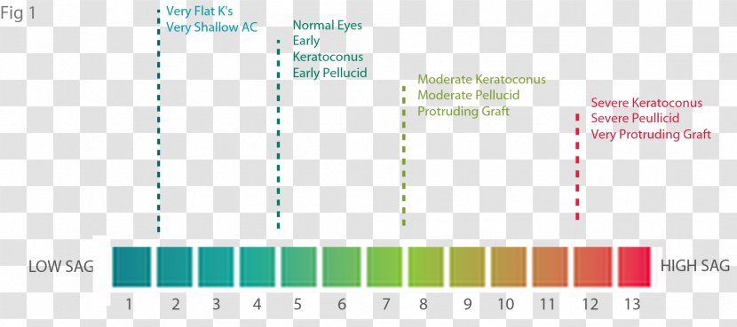 Graphic Design Document Green - Cartoon Transparent PNG