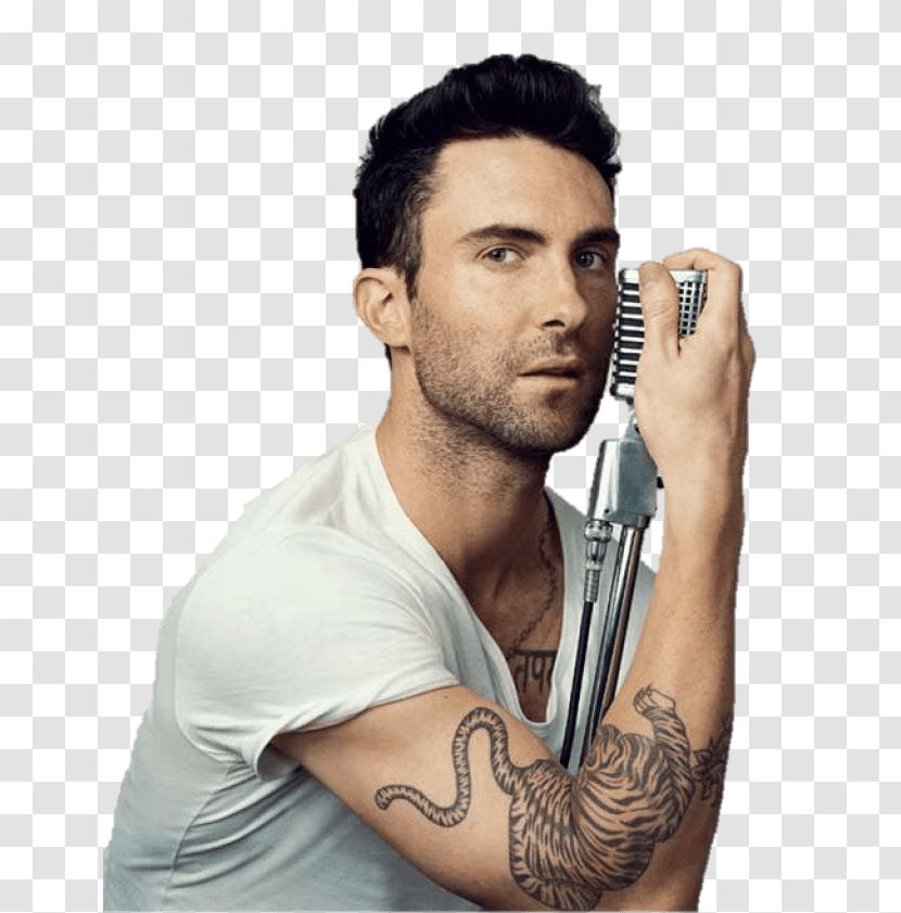 Adam Levine Maroon 5 Musician Singer-songwriter - Cartoon - & Eve Transparent PNG
