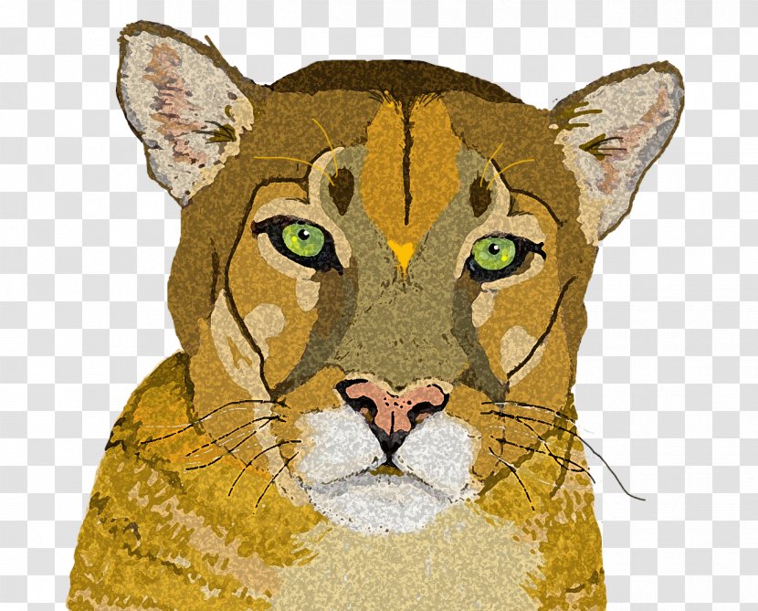 Whiskers Cougar Lion Cat Snout - Head Transparent PNG