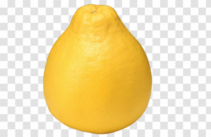 Lemon Citron Tangelo Grapefruit Citrus Junos - Orange - Yellow Color Sand Pomelo Material Picture Transparent PNG