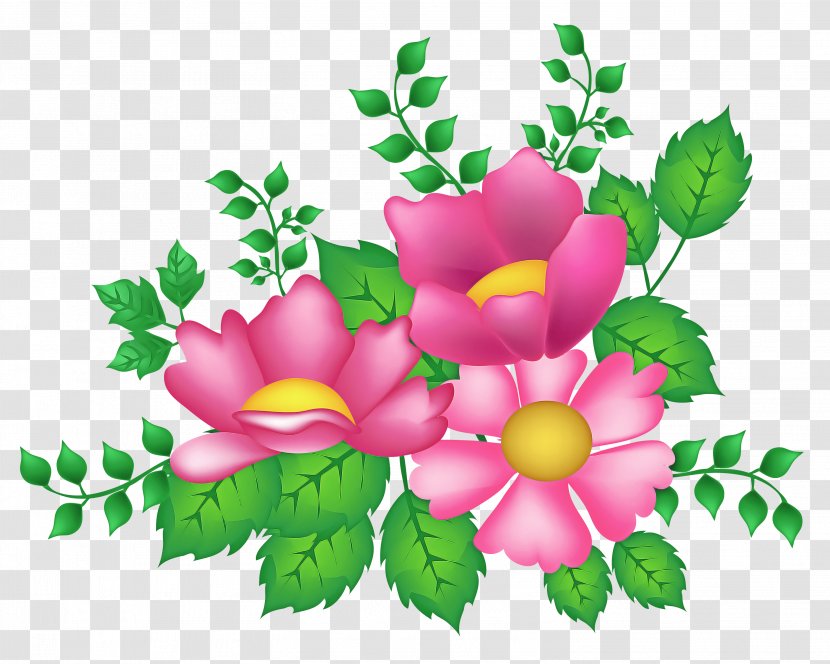 Rose - Flowering Plant - Prickly Transparent PNG