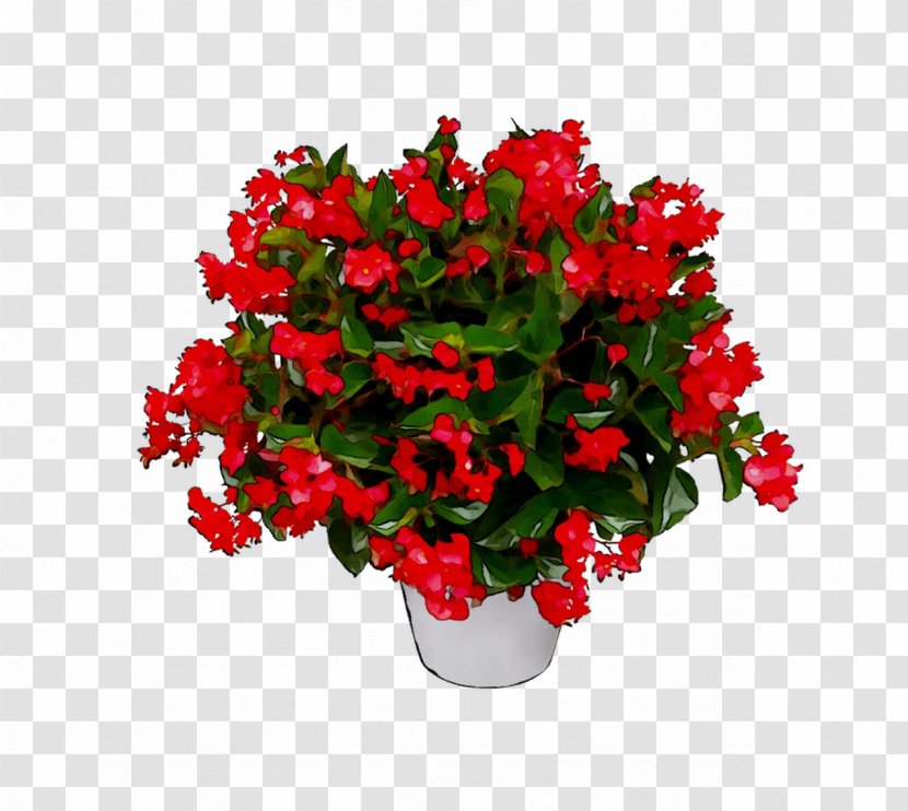 Begonia Flowerpot Floral Design Artificial Flower - Petal - Lobelia Transparent PNG