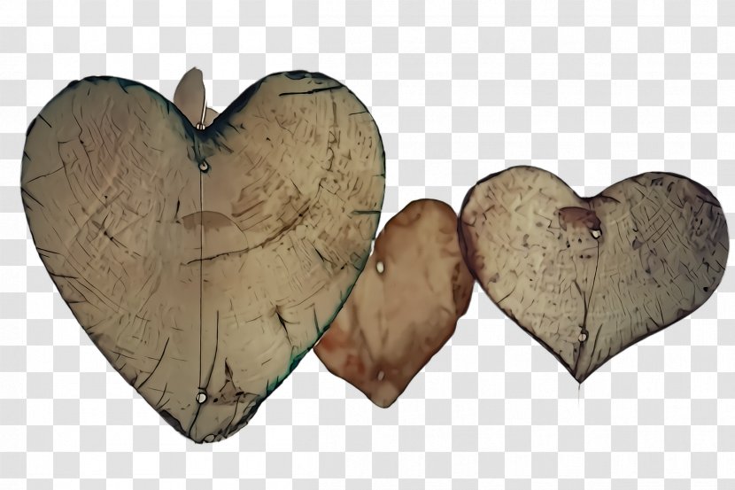 Heart Leaf Wood Tree - Love - Petal Transparent PNG