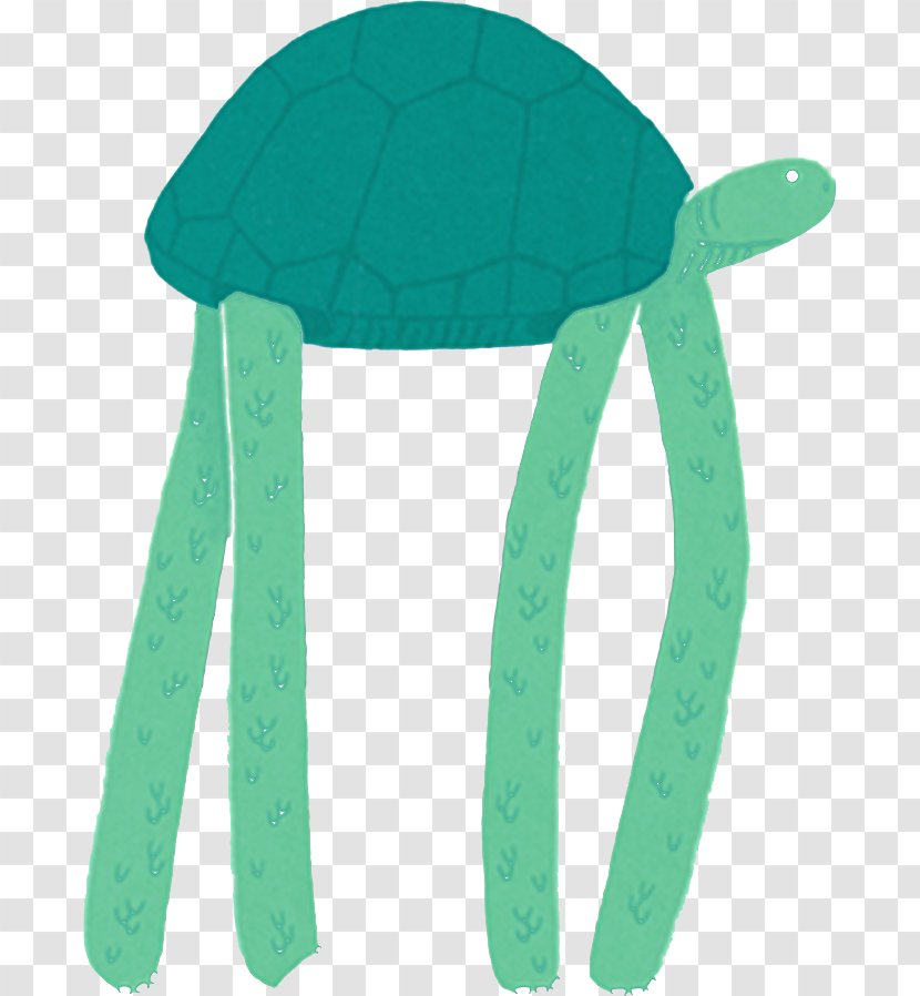 Turtle Cartoon Illustration Transparent PNG