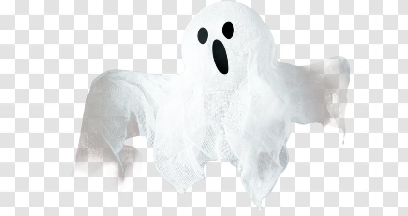 Ghost White Clip Art - Picture Frames Transparent PNG
