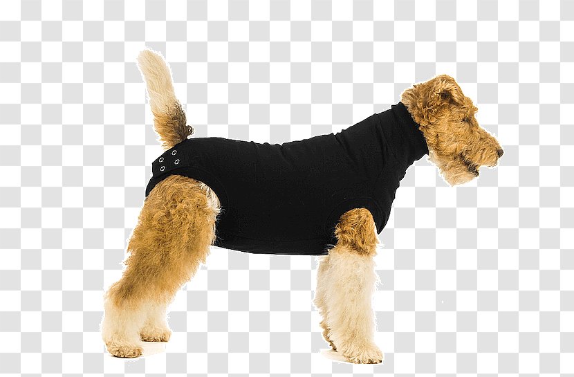Dog Booties Amazon.com Surgery Suit - Airedale Terrier Transparent PNG