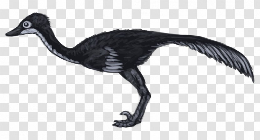 Saurornithoides Velociraptor Dinosaur Bird Goose - Cranelike - Troodon Transparent PNG