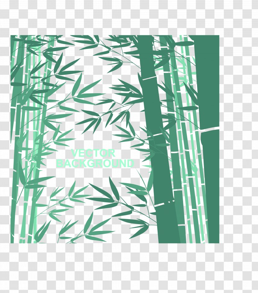 Bamboo Green Euclidean Vector Computer File - Google Images Transparent PNG