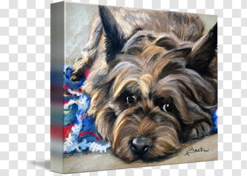Yorkshire Terrier Cairn Australian Silky West Highland White - Vulnerable Native Breeds - Mary Sparrow Painting Transparent PNG