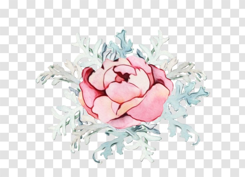 Garden Roses Cabbage Rose Cut Flowers Flower Bouquet - Petal Transparent PNG