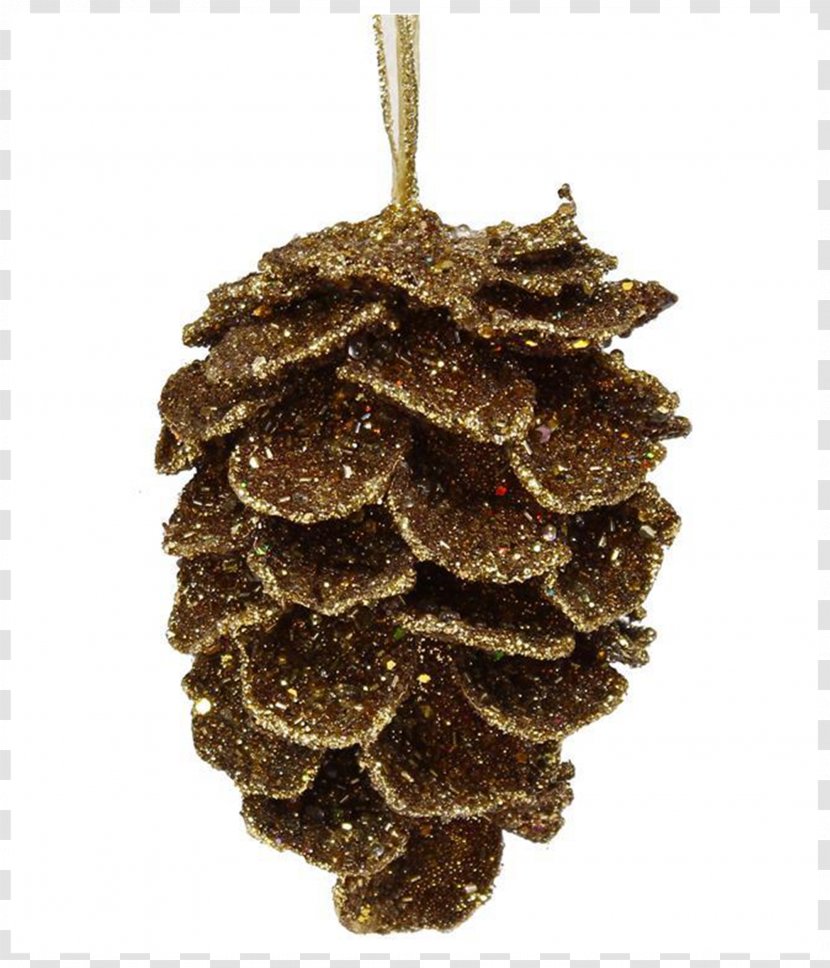 Conifer Cone Picea Mariana Ornament Fir Bead - Pheasant Feathers Transparent PNG