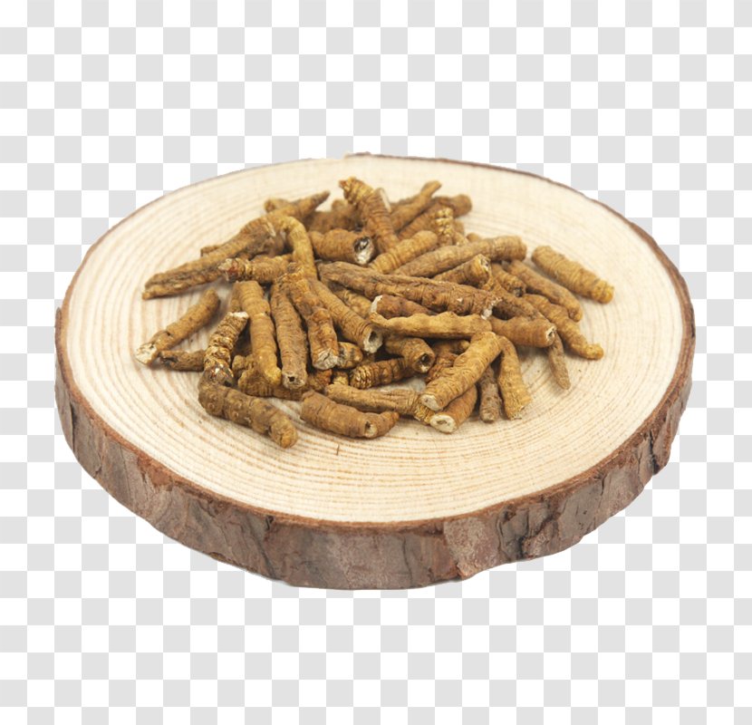 Caterpillar Fungus Traditional Chinese Medicine - Cordyceps Wild Herbs Transparent PNG