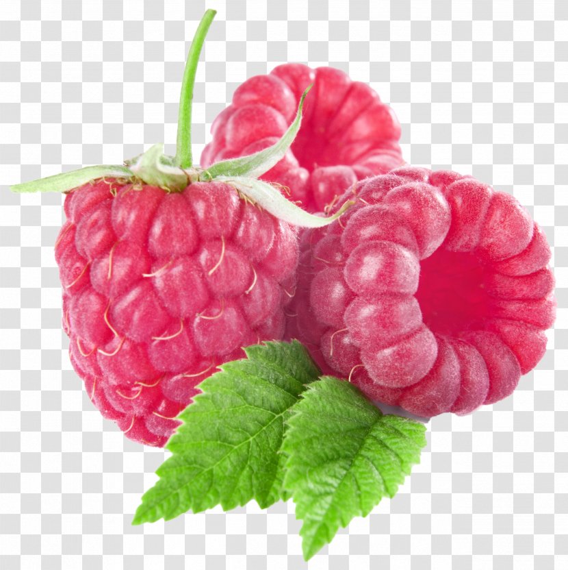 Raspberry Fruit Clip Art - Superfood - Large Raspberries Clipart Transparent PNG