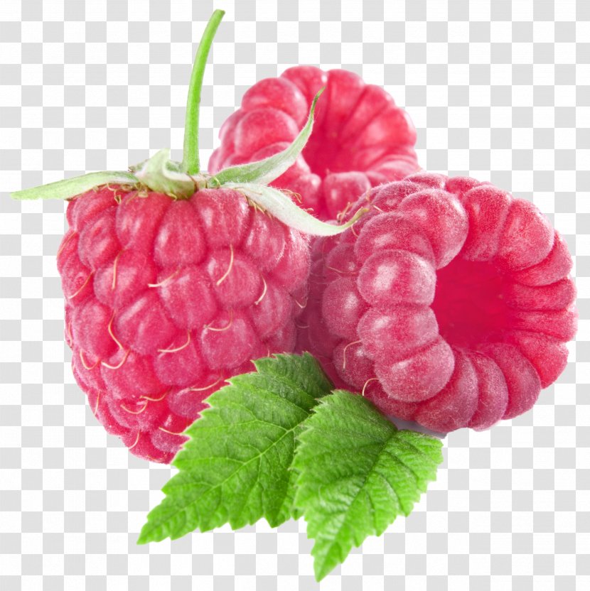 raspberry fruit clip art superfood large raspberries clipart transparent png large raspberries clipart transparent png