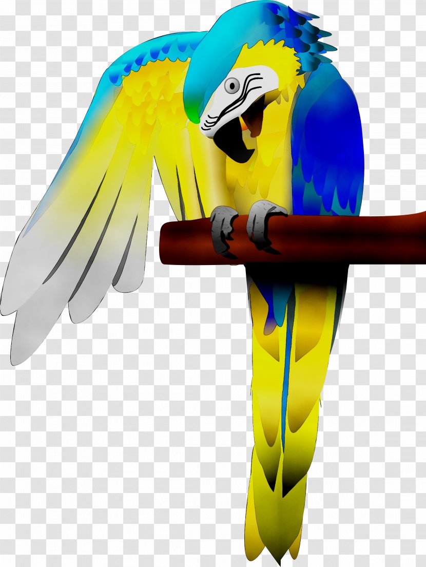 Macaw Parakeet Feather Beak Yellow - Bird Supply Transparent PNG