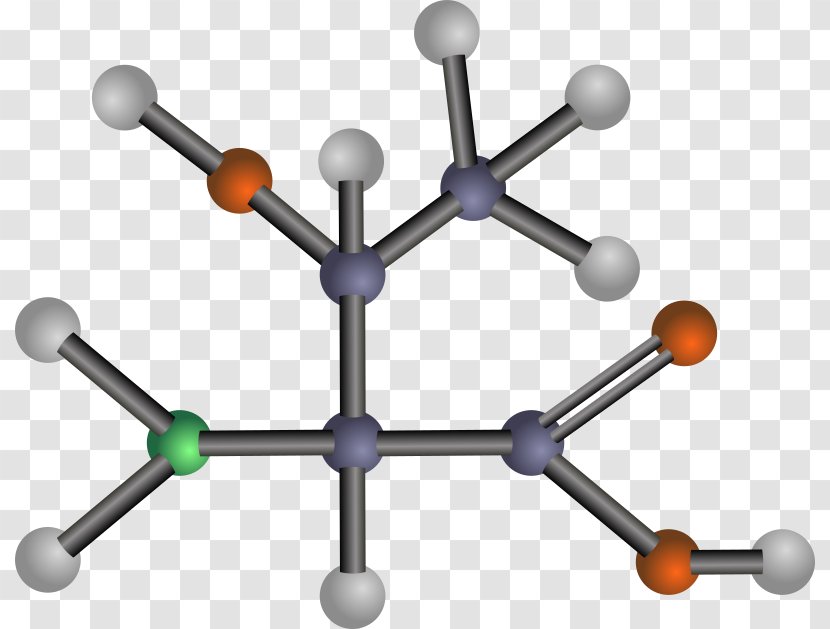 Branched-chain Amino Acid Isoleucine Glutamic - Chemical Polarity Transparent PNG