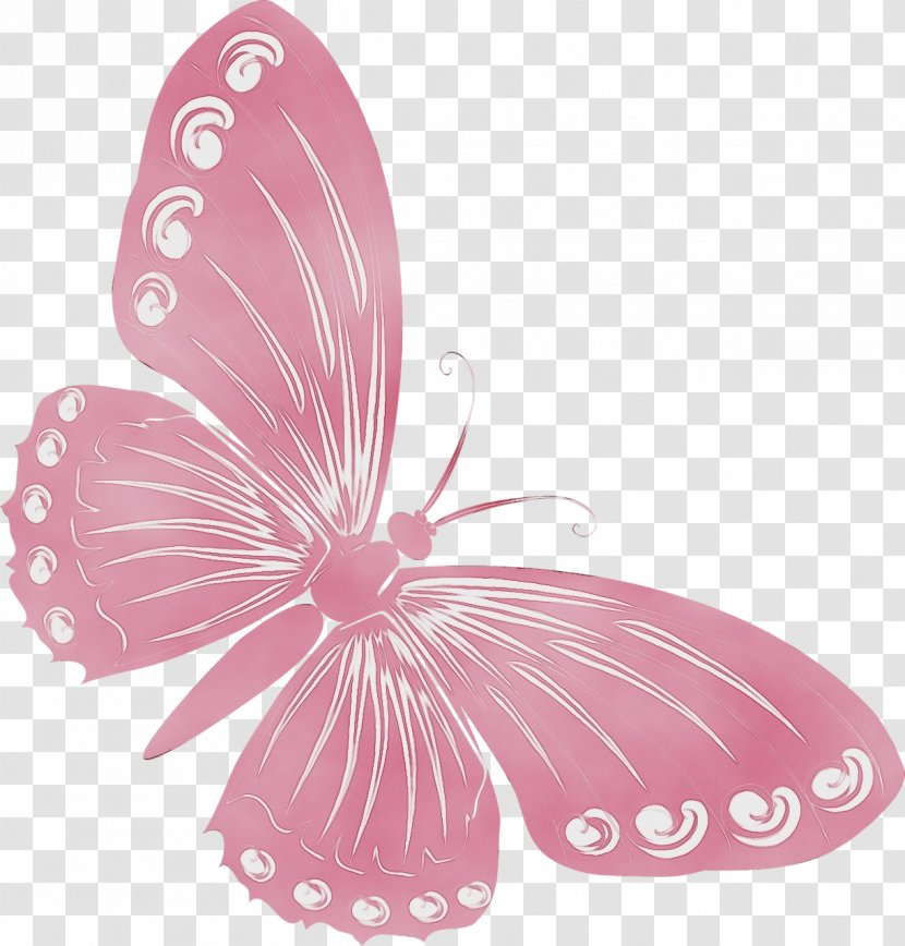 Watercolor Butterfly Background - Pollinator - Wing Insect Transparent PNG
