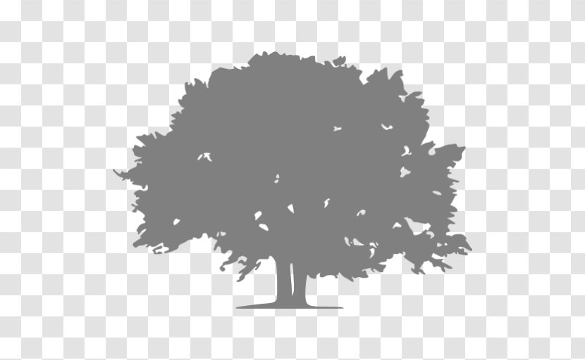 Stage Lighting Instrument Tree Garden Wood - Silhouette Transparent PNG