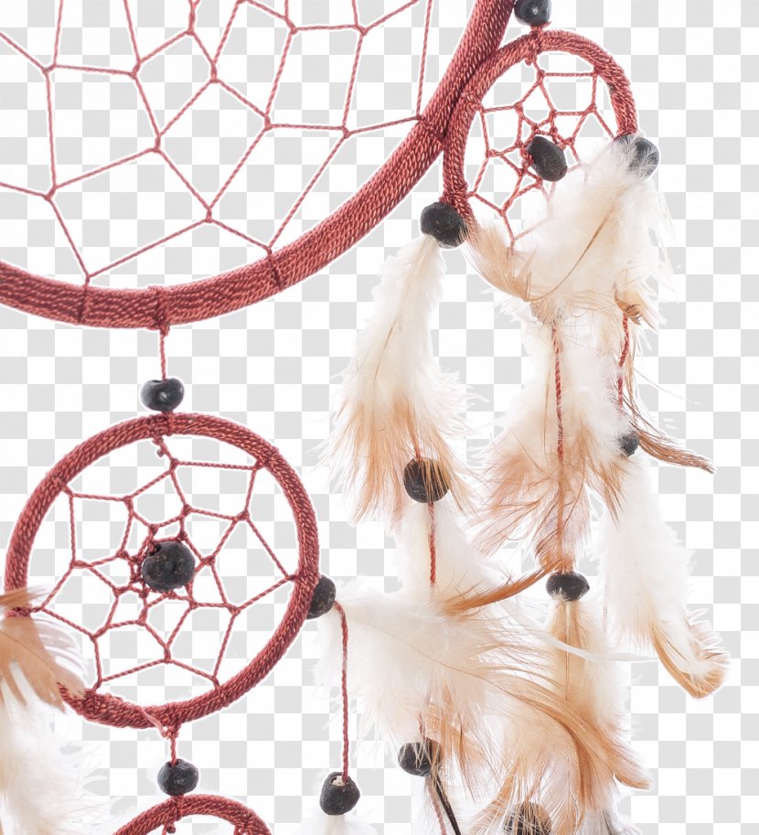 Leash Dog Snout Canidae Mammal Transparent PNG