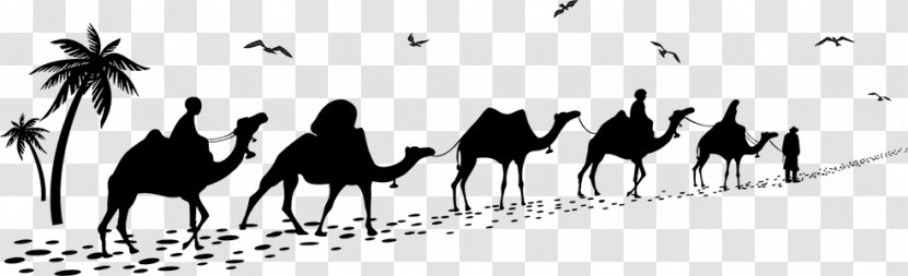 Bactrian Camel Caravan Train - Black And White Transparent PNG