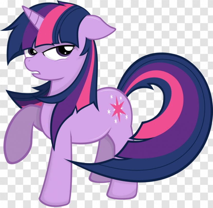 Twilight Sparkle My Little Pony Rainbow Dash Pinkie Pie - Frame - Melania Trump Family Transparent PNG